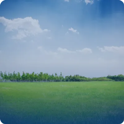 Vacant Land